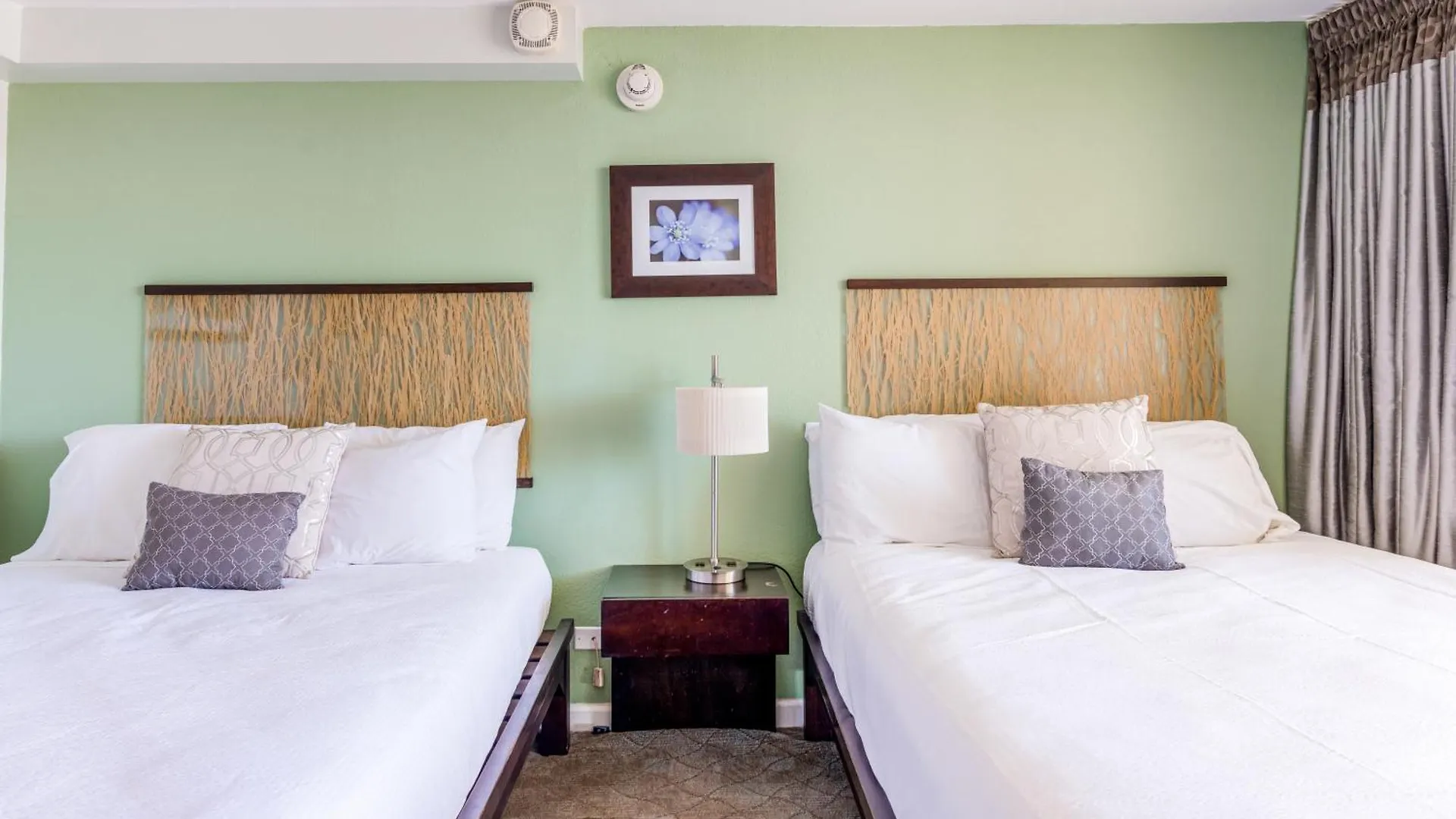 Island Colony Suites Honolulu 0*,  Stany Zjednoczone Ameryki